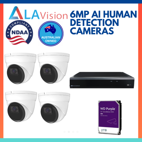 6MP AI HUMAN DETECTION CAMERAS